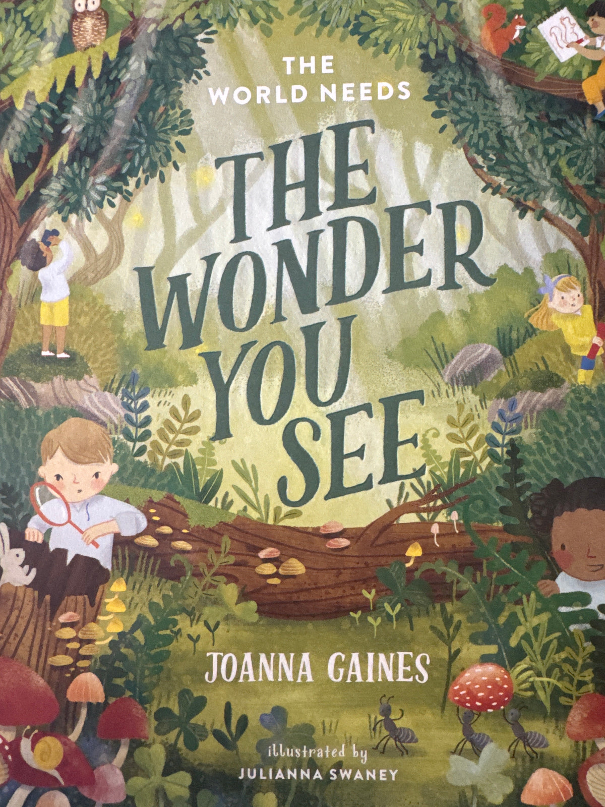 The Wonder You See