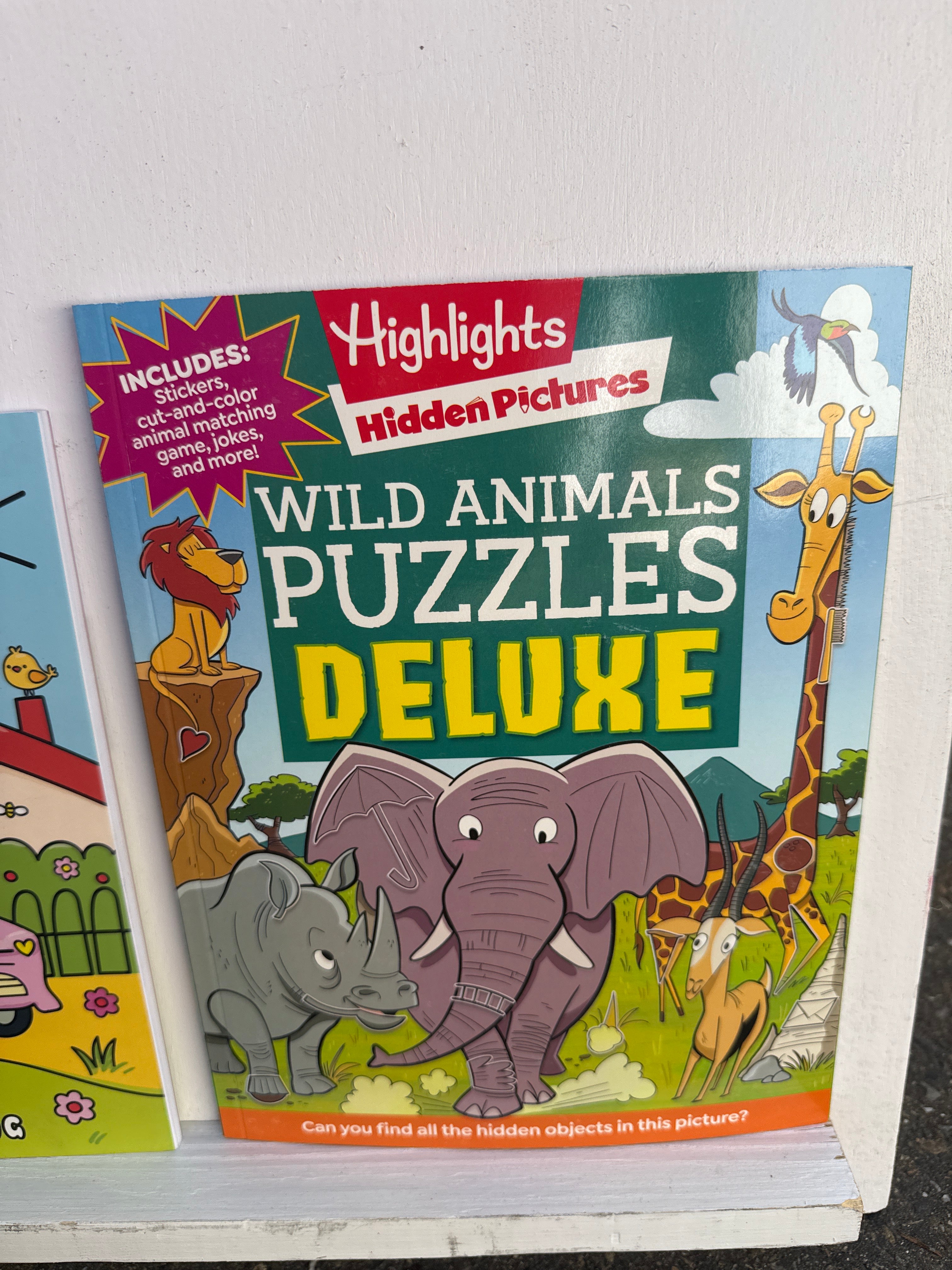 Hidden Puzzles Deluxe