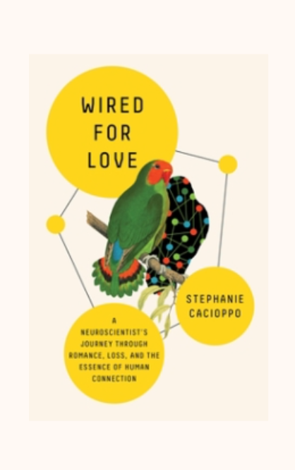 Wired for Love: A neuroscientist's journey through romance, loss, and the essence of human connection